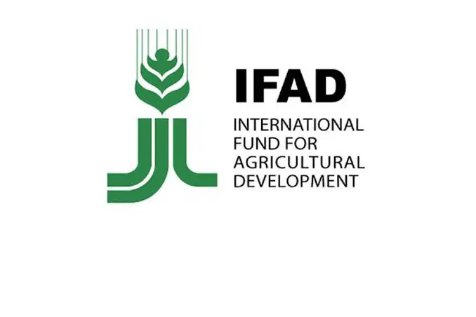FG, IFAD Begin 13th VCDP Supervision Mission as Programme Approaches Completion