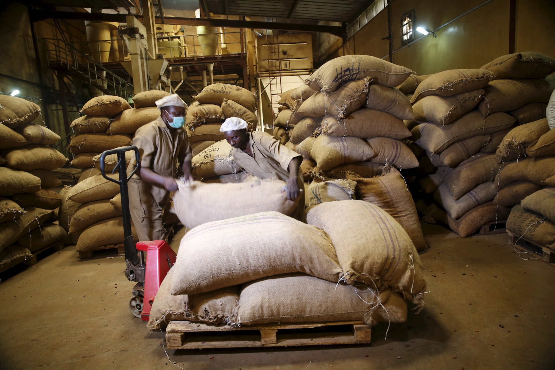 Fertiliser, Cocoa Lead Nigeria's Non-Oil Export Surge