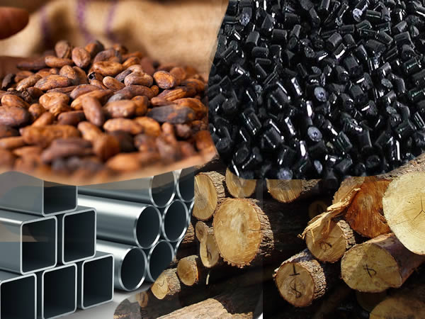African Leaders Push 30% Local Processing Mandate as Raw Materials Bill Returns to Tinubu