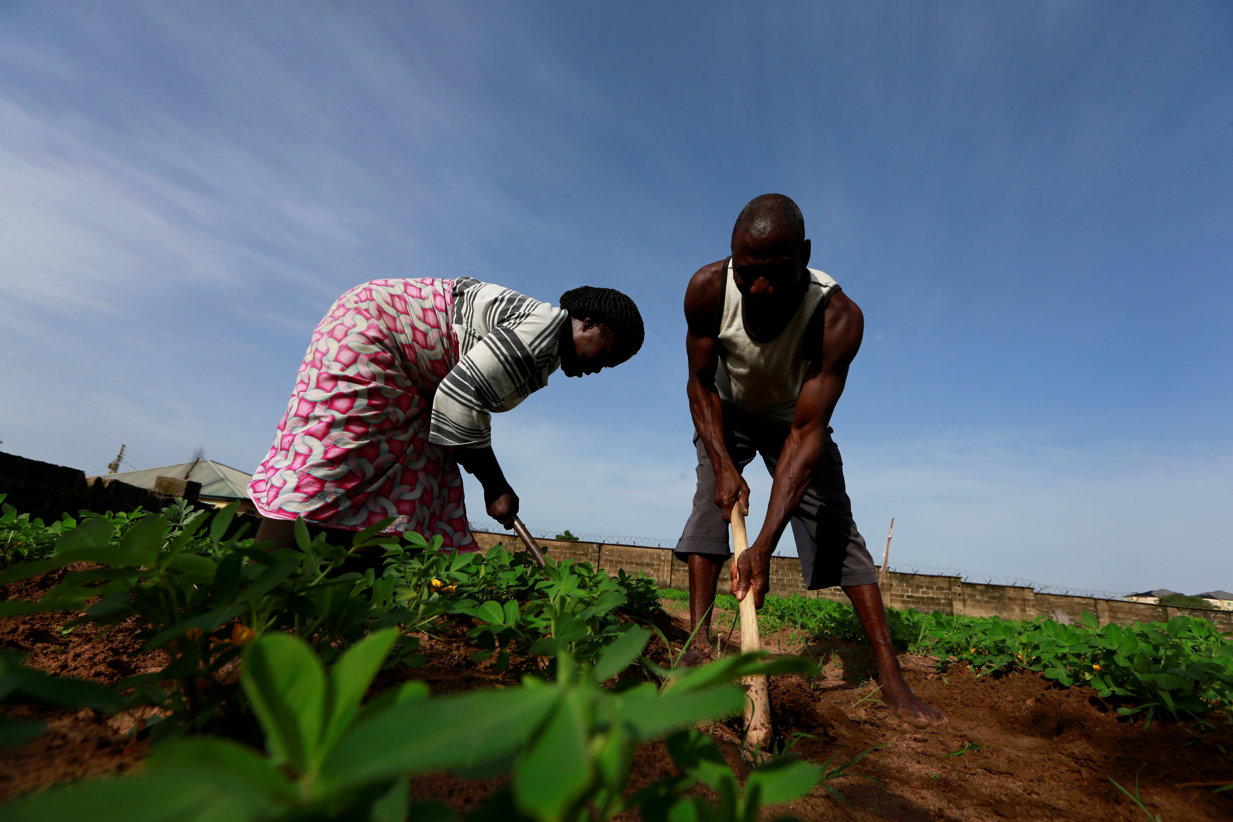 Nigeria Pitches $30bn-a-Year Climate Finance Market for Smallholder Farmers