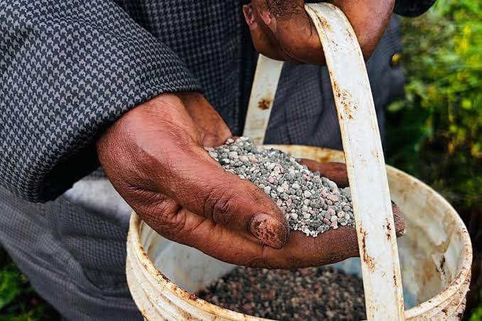 Fertiliser summit pushes soil intelligence to boost food security