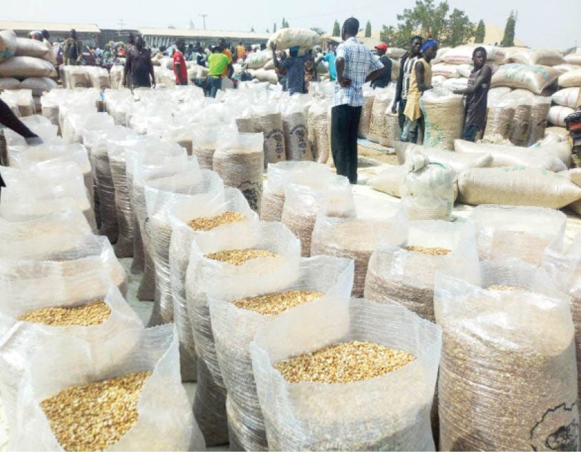 AFEX maize plunges 13.44% below guaranteed minimum price as supply pressures weigh